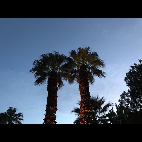 Meet your Posher, Kylee - Picture 1 of 1